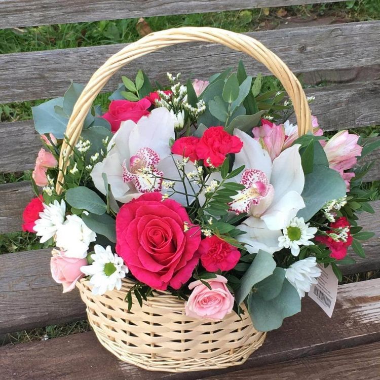 Великолепие от 10 900 руб.